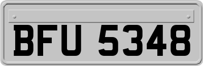 BFU5348