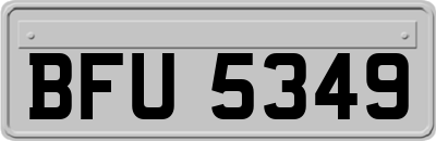 BFU5349