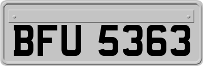 BFU5363