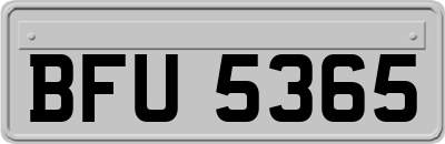 BFU5365