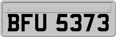 BFU5373
