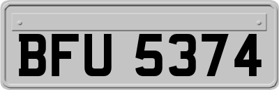 BFU5374