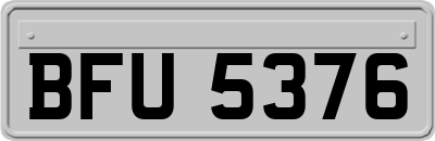 BFU5376