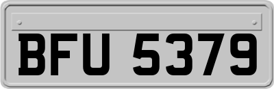 BFU5379