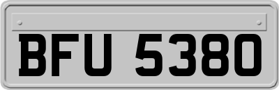 BFU5380