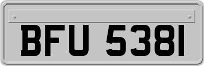 BFU5381