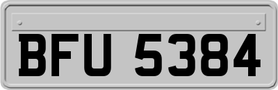 BFU5384