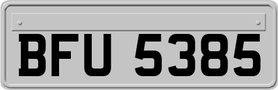 BFU5385