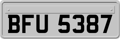 BFU5387