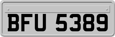 BFU5389