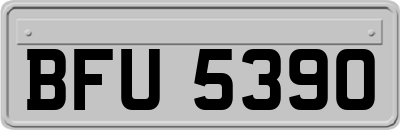 BFU5390