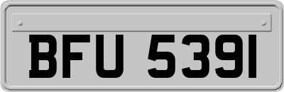 BFU5391