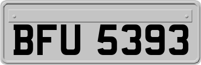 BFU5393