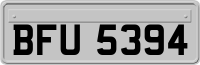 BFU5394
