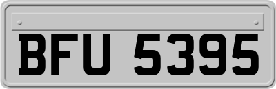 BFU5395
