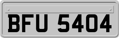 BFU5404
