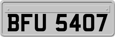 BFU5407