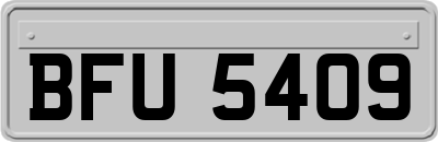 BFU5409
