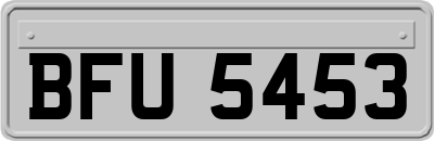 BFU5453