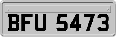 BFU5473