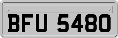 BFU5480