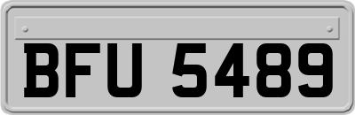 BFU5489