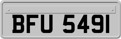 BFU5491