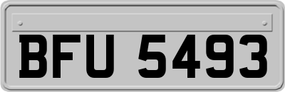 BFU5493