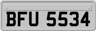 BFU5534