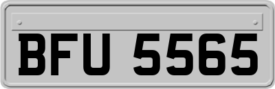 BFU5565