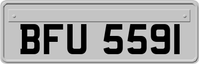 BFU5591