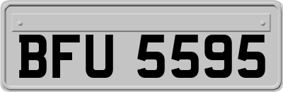 BFU5595
