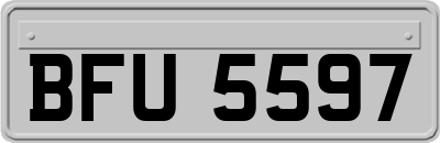 BFU5597