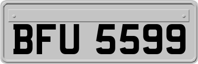 BFU5599