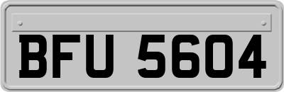 BFU5604