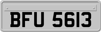 BFU5613