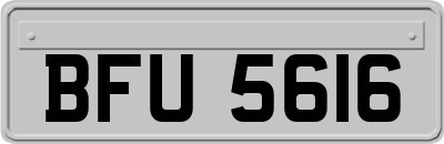 BFU5616