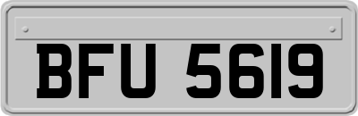 BFU5619