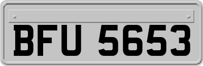BFU5653