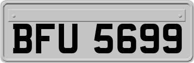 BFU5699