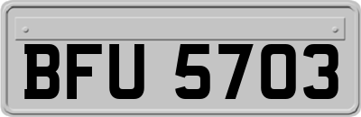 BFU5703