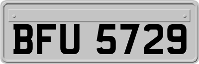 BFU5729