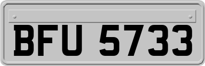 BFU5733