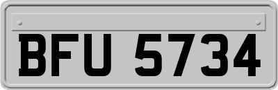 BFU5734