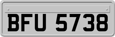 BFU5738