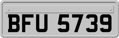 BFU5739