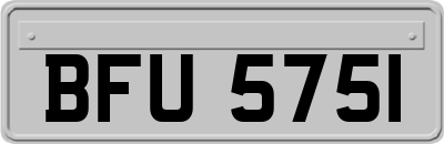 BFU5751