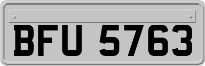 BFU5763