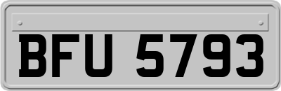 BFU5793