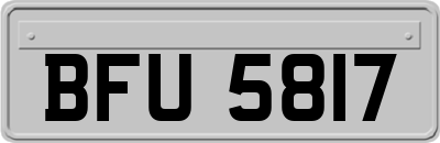 BFU5817